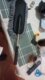 Clean-Brush™| Brosse ajustable d'entretien pour voiture