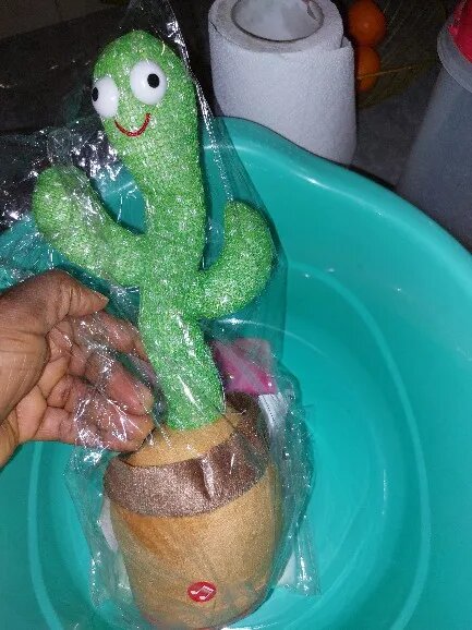 Dancing cactus
