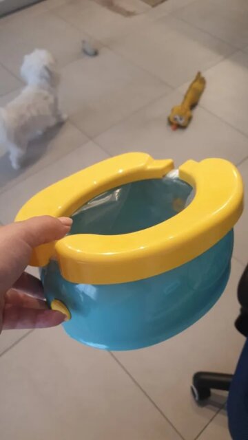 POTTY GO (20 disposable bags Free) 
