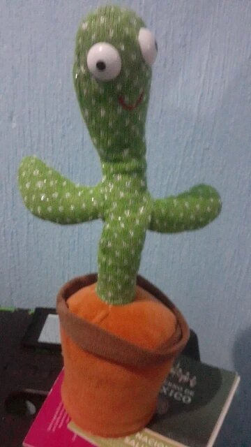 Dancing cactus