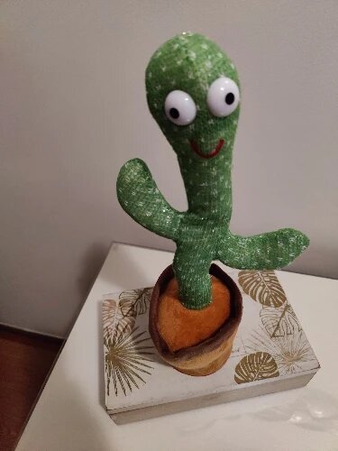 Dancing cactus