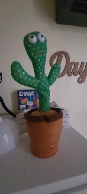 Dancing cactus