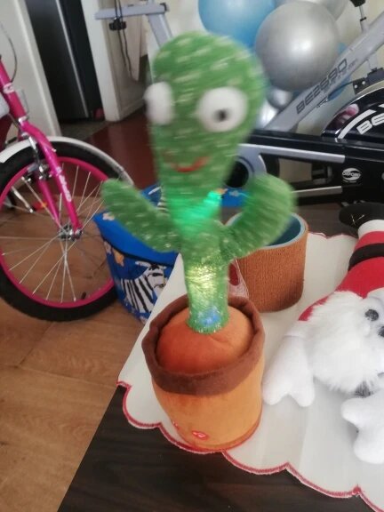 Dancing cactus