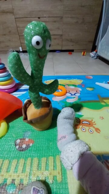 Dancing cactus