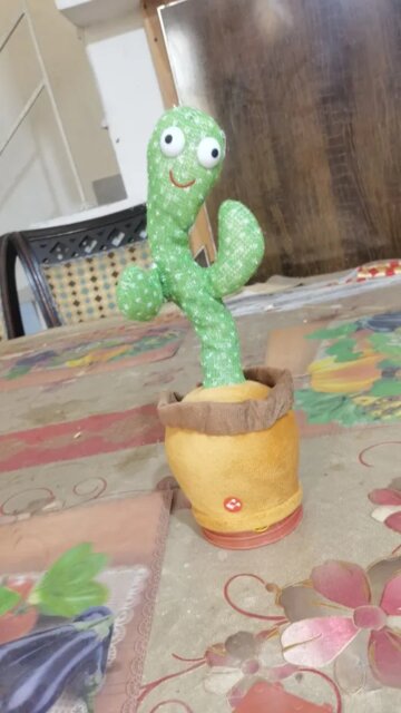 Dancing cactus