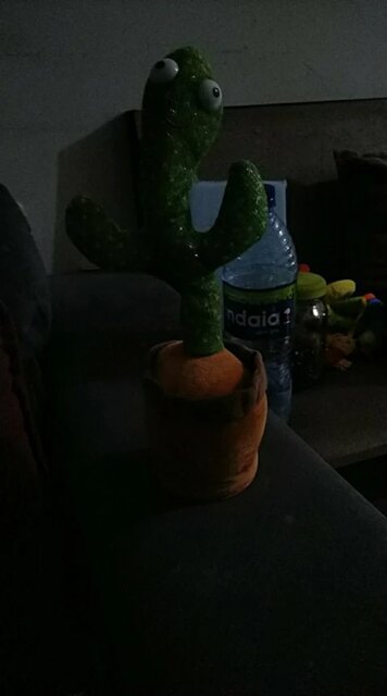 Dancing cactus