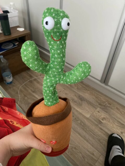 Dancing cactus