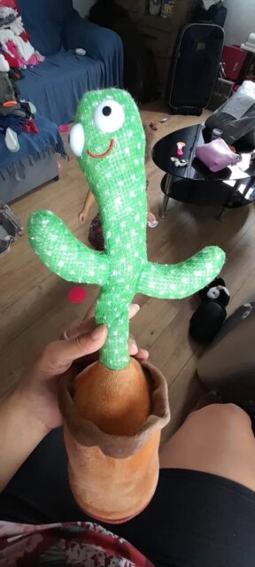 Dancing cactus