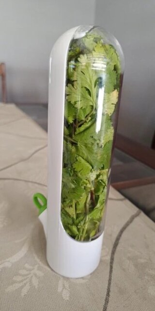pot de conservation