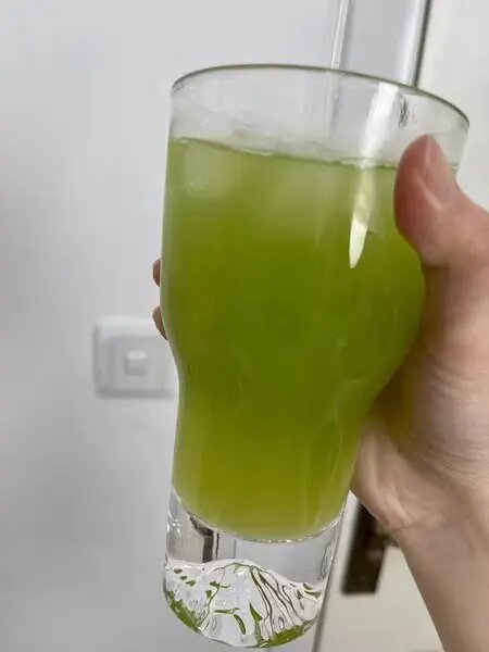 Licuadora portátil