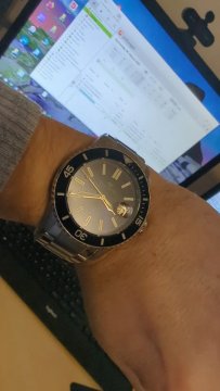 Seagull Ocean Star™ review