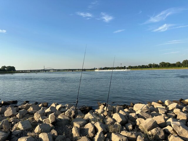 ROLLFISH Ultra-Light Telescopic Travel Fishing Rod – Premium Portable Carbon Bass Rod for Freshwater & Saltwater 🎣