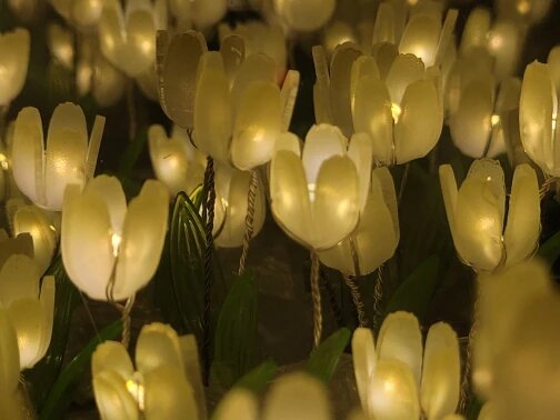 Infinite Petals Mirror