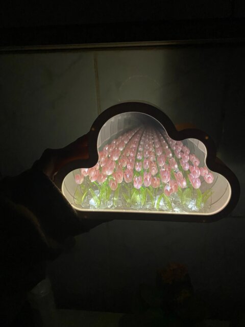 Infinite Petals Mirror