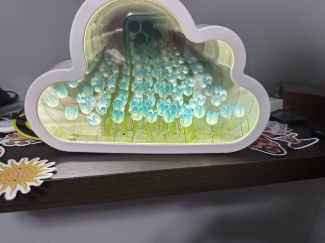 Infinite Petals Mirror