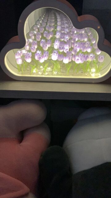Infinite Petals Mirror