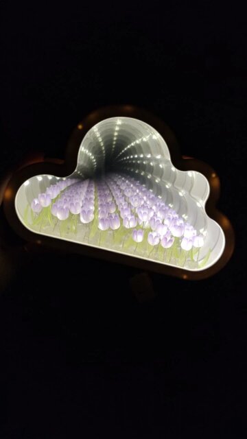 Infinite Petals Mirror