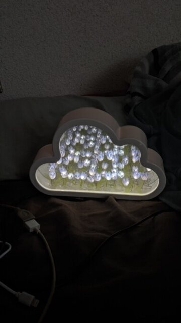 Infinite Petals Mirror