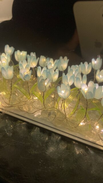 Infinite Petals Mirror