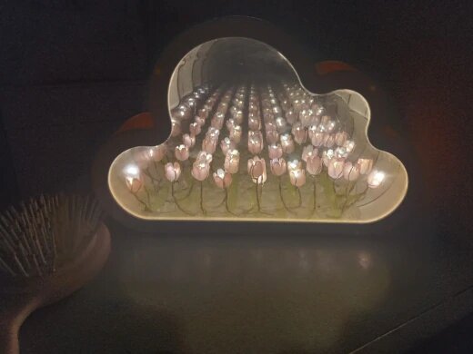 Infinite Petals Mirror