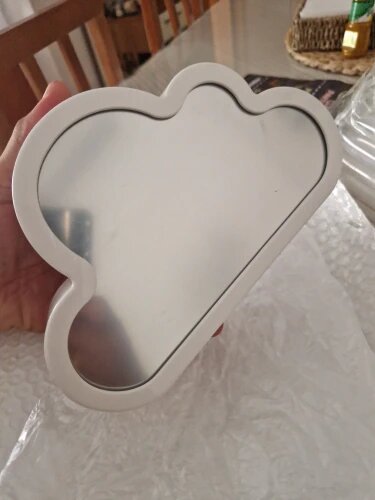 Infinite Petals Mirror