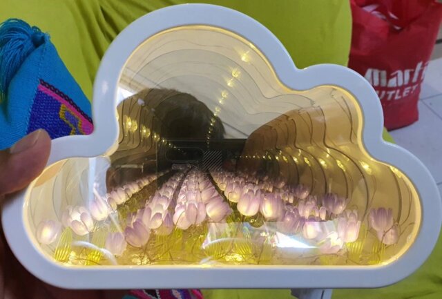 Infinite Petals Mirror