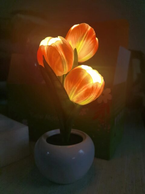 Glowing Tulip Lamp