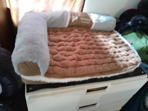 Coussin à chat - FRAICHEURPOURCHAT™