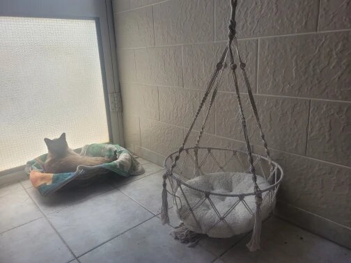 Hamac à chat - BALANCEPOURCHAT™