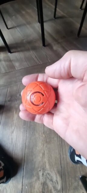 Smart Interactive Pet Toy Ball