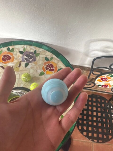 Smart Interactive Pet Toy Ball