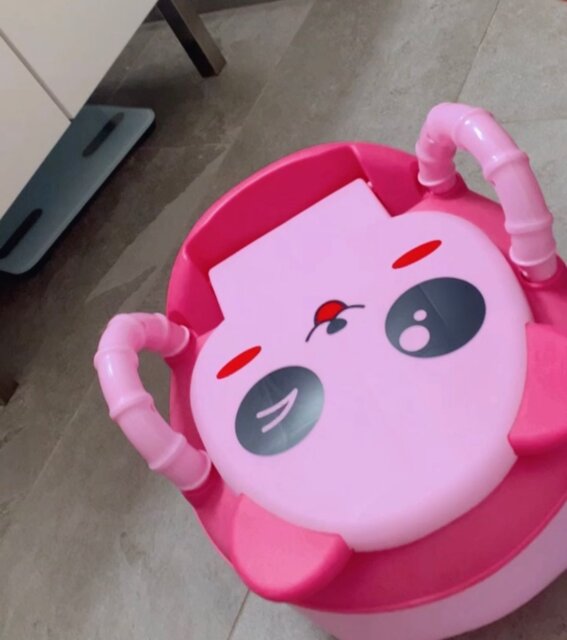 EasyTrain Potty Pal