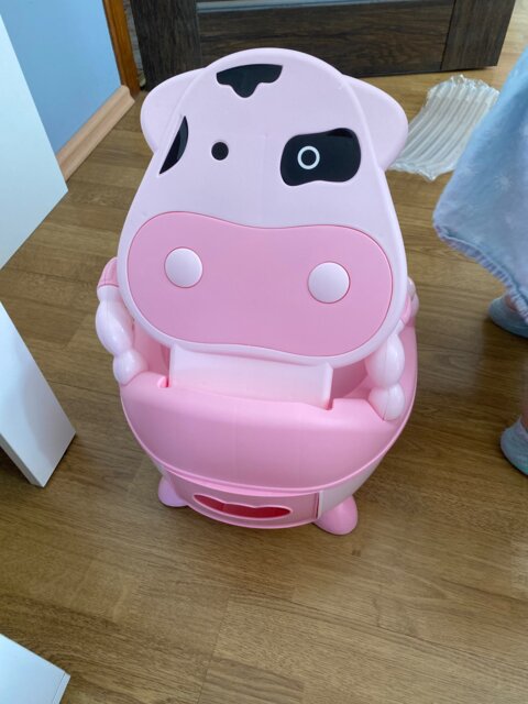 EasyTrain Potty Pal