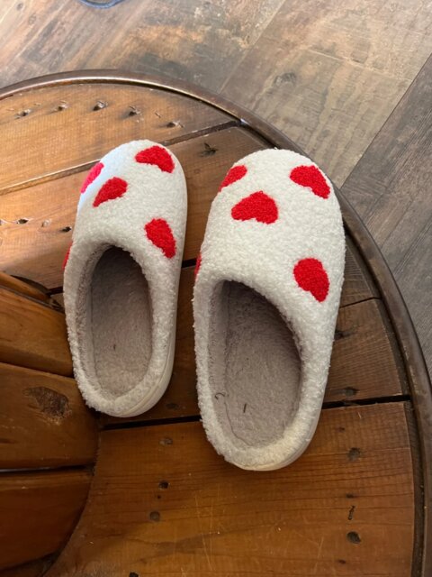 Chaussons En Coton Pour Femmes Style Cartoon - Intérieur Douillet Et Chaud - Semelle TPR Antidérapante - Plusieurs Tailles - 4
