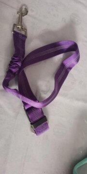 ANN.NUK - HUNDEAUTOGURT "FLEX" review