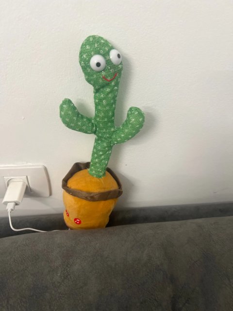 Cactus qui danse | Dansant et parlant  Divertir Bb