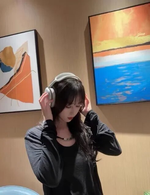 Headphones P9 max