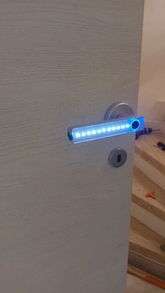 iSecure Fingerprint Handle